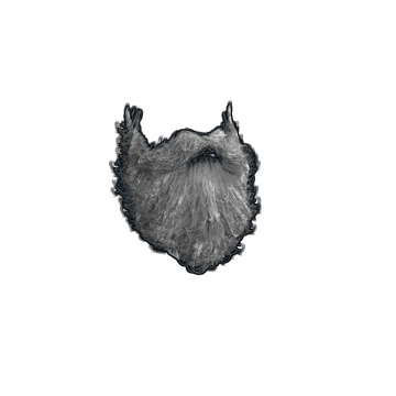 Rainbow Pony Garage Door